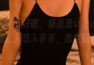 PDL潘多拉 – 好吧，杨晨晨sugar，你的肉丝美图让人想入非非，我也是没办法。