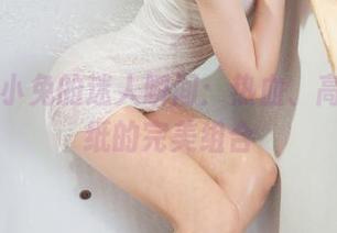 丽柜 – 小兔的迷人瞬间：热血、高清、壁纸的完美组合