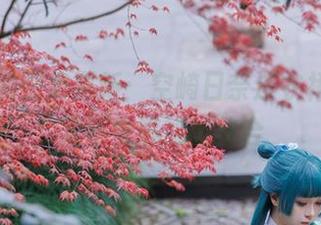 矢量鱼的图集更新：空崎日奈连衣裙，青春又不失尴尬的结合